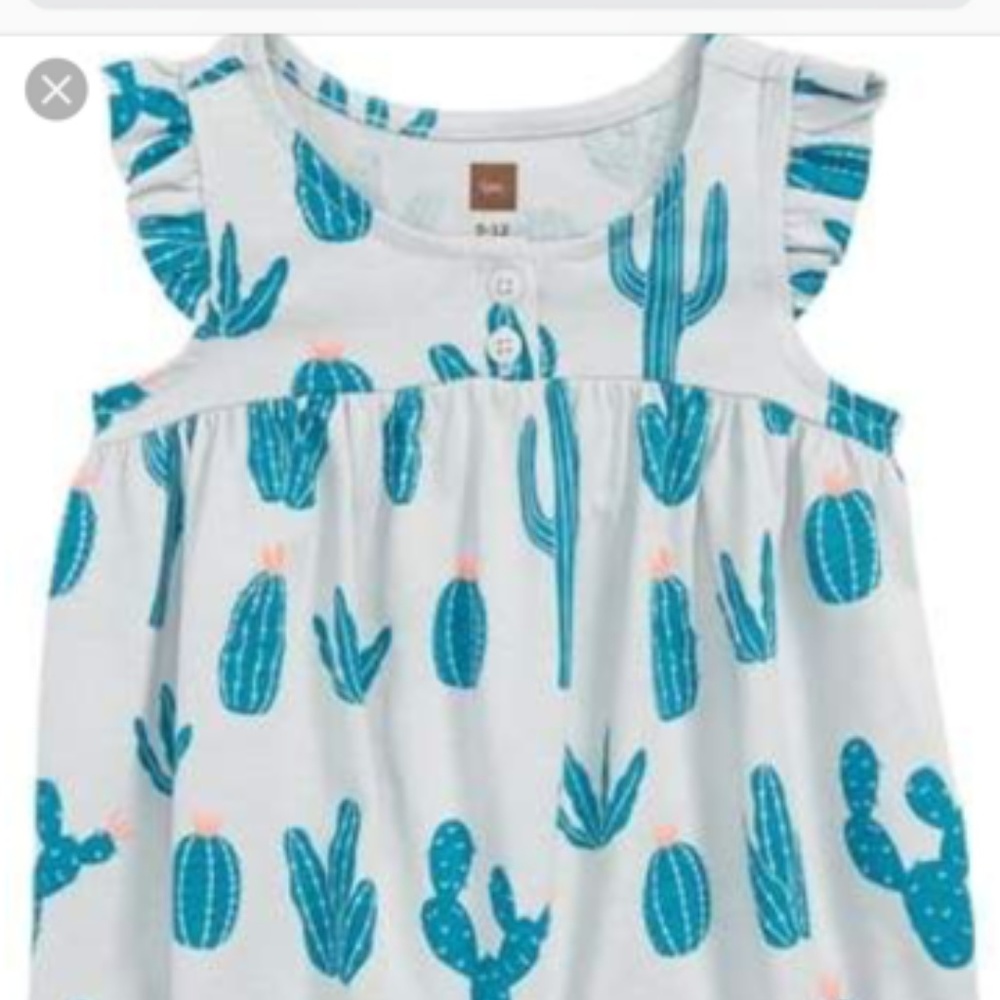Tea Collection Cactus and Instrument Rompers